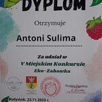 dyplom za udział(1)