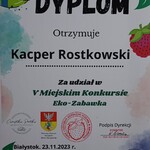 dyplom za udział(2)
