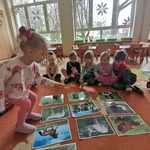 Liwia szuka właściwego obrazka