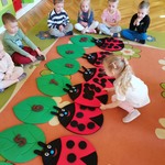 Liwia kładzie biedronkę
