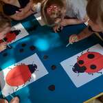 IMG-20240527-WA0006.jpg