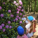 dzieci wąchają rododendrony