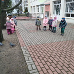 dzieci obserwują gołębie 