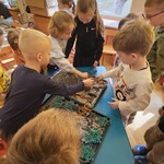 dzieci ustawiają figurki dinozaurów