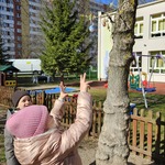 Zuzia próbuje dosięgnąc do pisanki na gałęzi