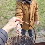 Tymek wkłada pisankę do koszyka