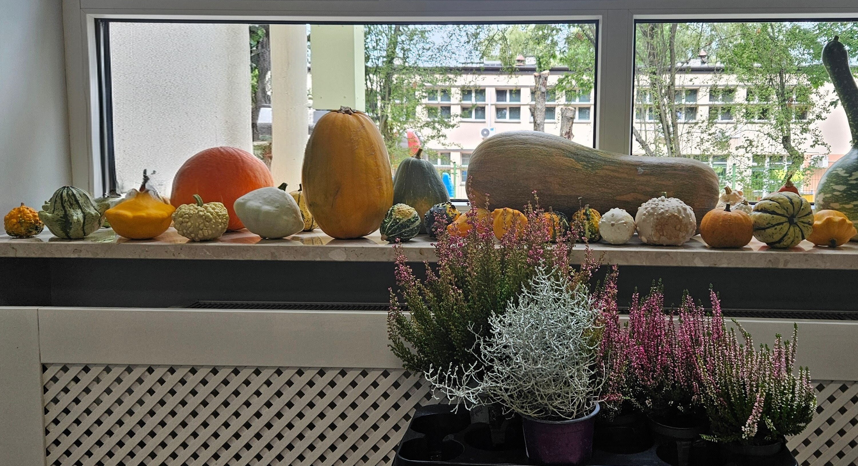 20250916_112156~2.jpg