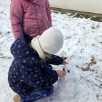 dziewczynka doczepia nos z marchewki bałwanowi