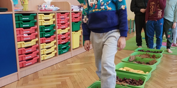 ścieżka.jpg