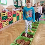 ścieżka4.jpg