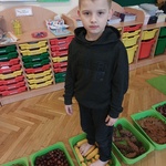 ścieżka6.jpg